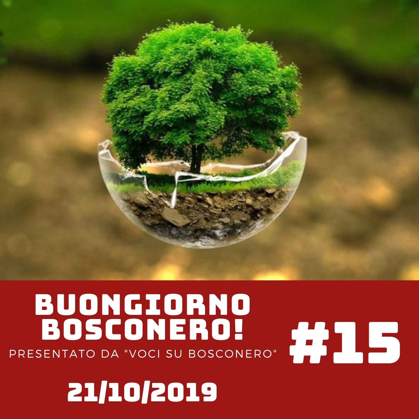Buongiorno Bosconero
