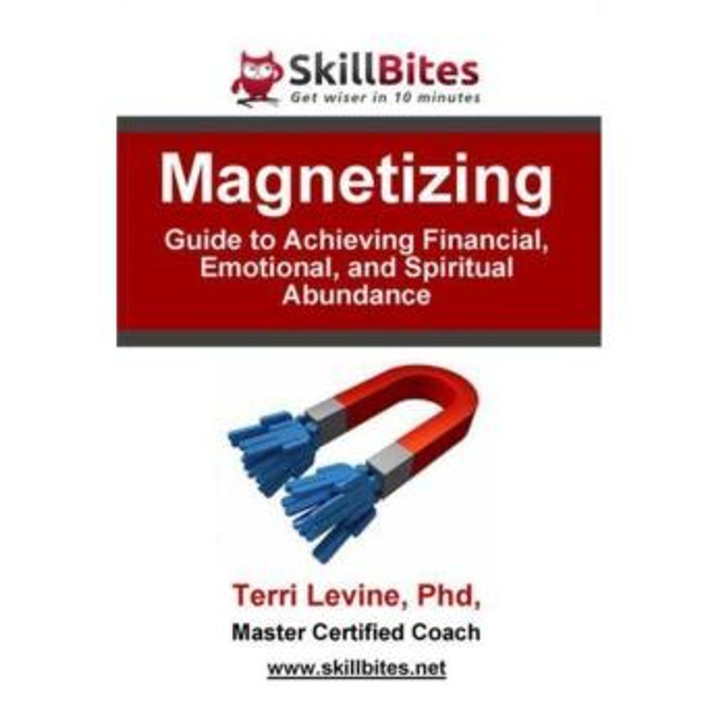 Magnetizing: Guide to Achieving Financial, Emotional, and Spiritual Abundance by Terri Levine episode artwork