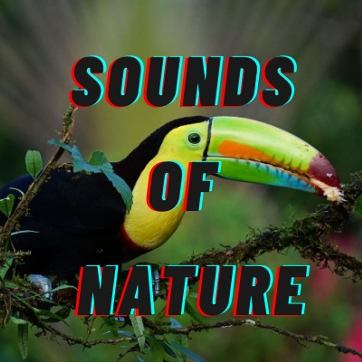 Sounds of Nature