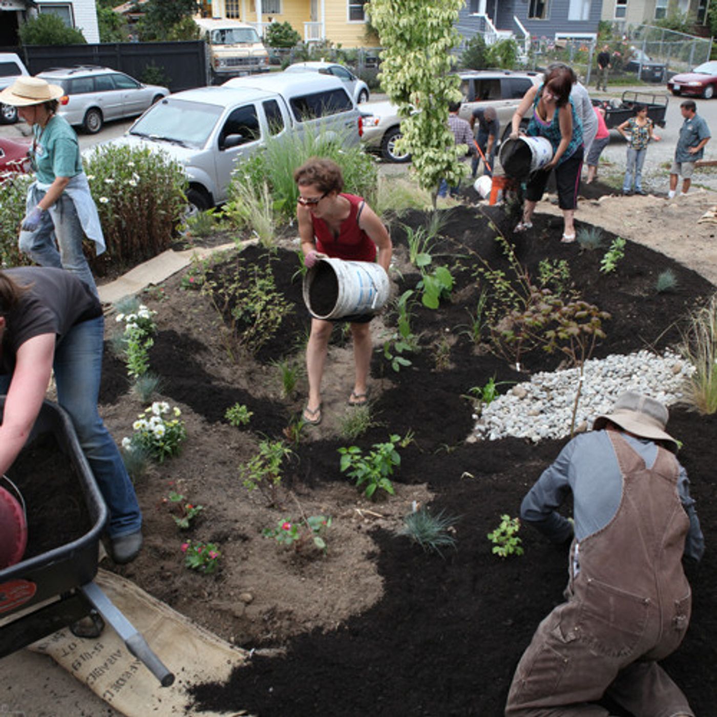 Washington's New Stormwater Regs Promote Green Development episode artwork
