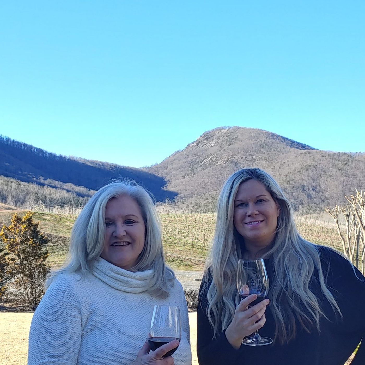 North Georgia Business Radio