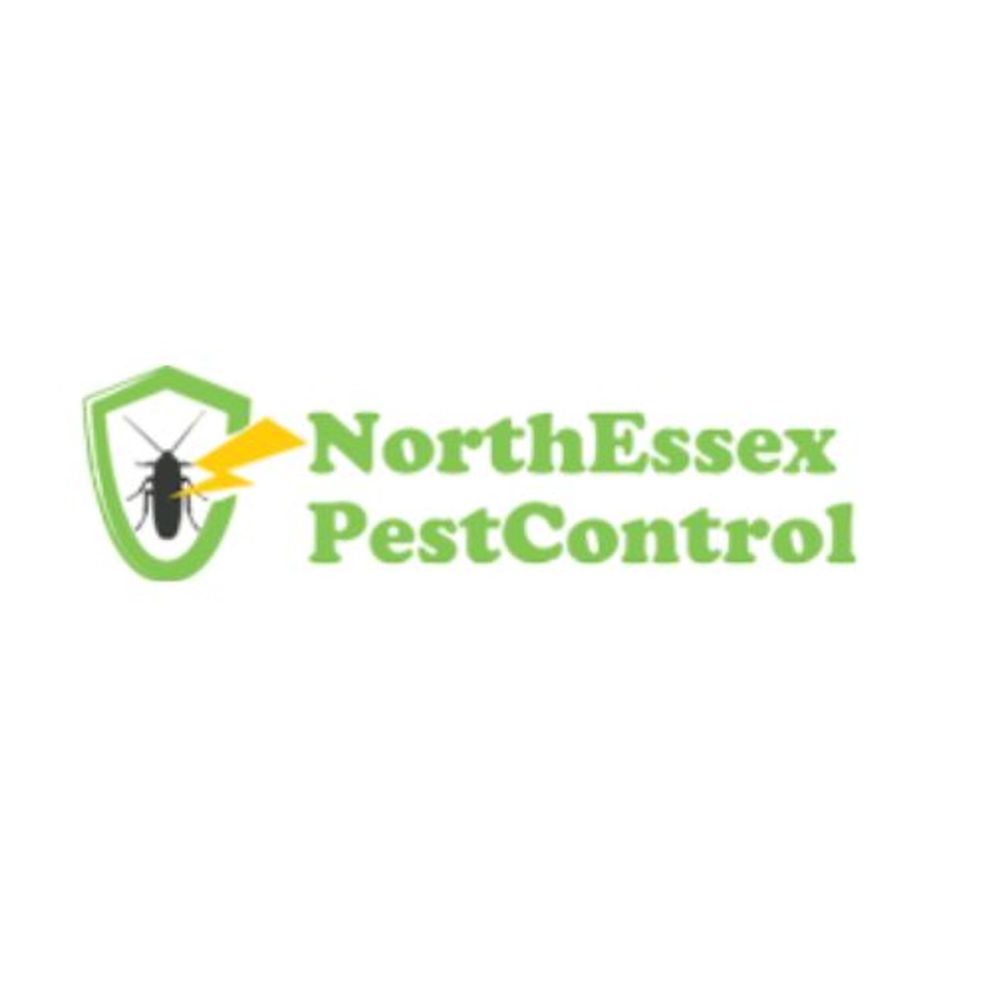 Professional Pest Control Services