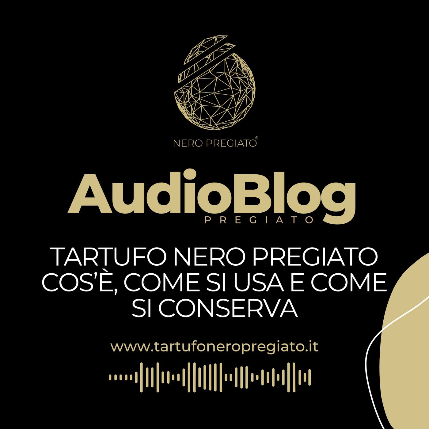 AudioBlog Pregiato