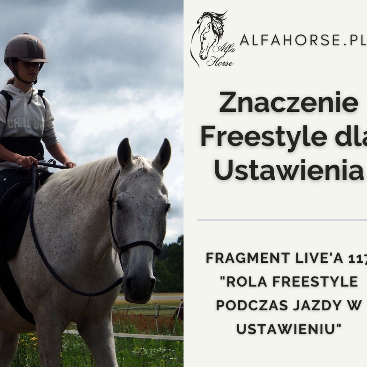 Znaczenie Freestyle dla Ustawienia - fragment Live 117 episode artwork