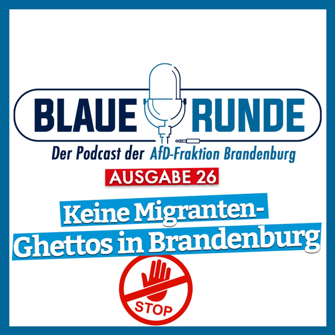 Keine Migranten-Ghettos in Brandenburg! | Die Blaue Runde, Ausgabe 26/23 vom 12.03.2023 episode artwork