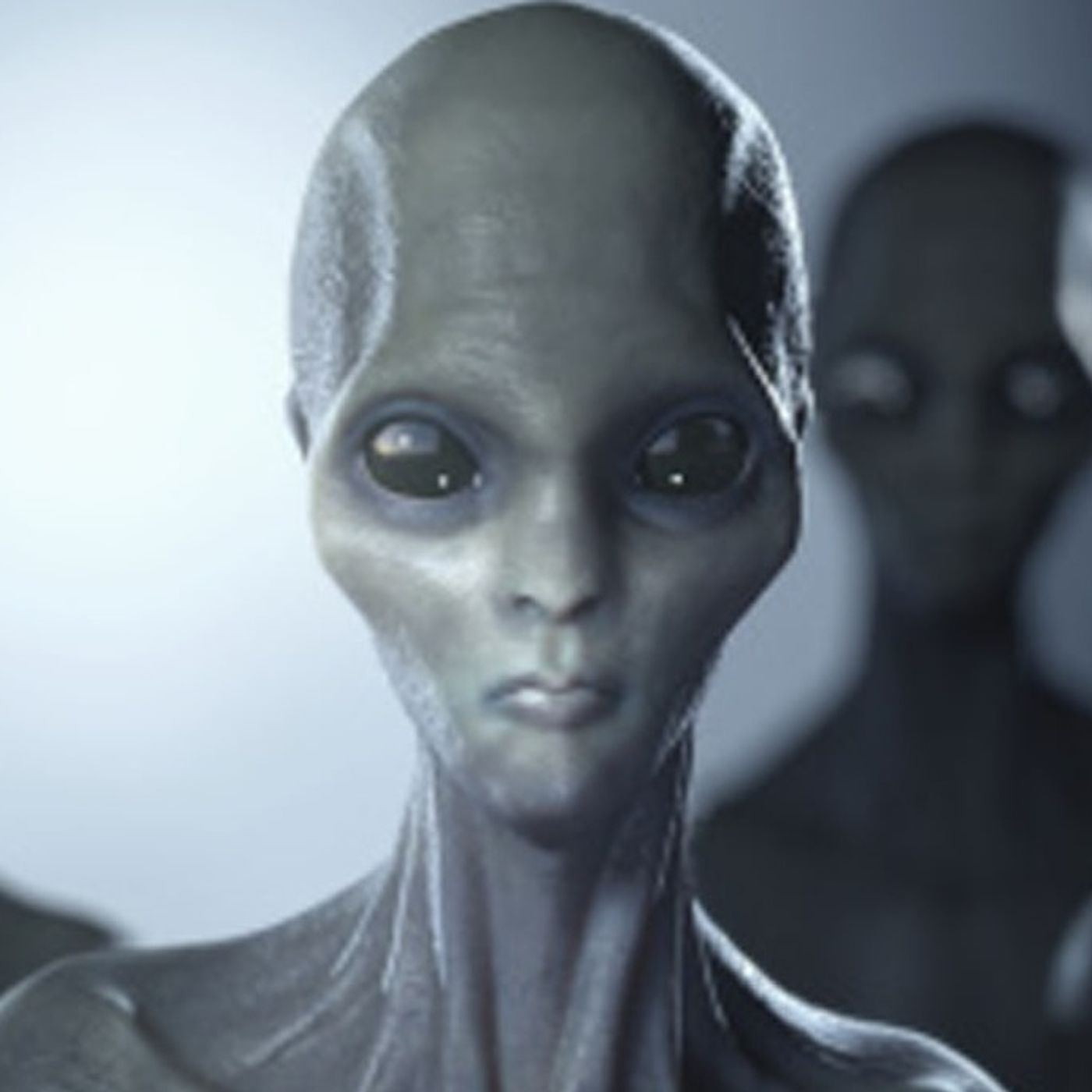 Rob McConnell Interviews - FREEMAN FLY - Aliens From Hell, 911, Freemasons, and More