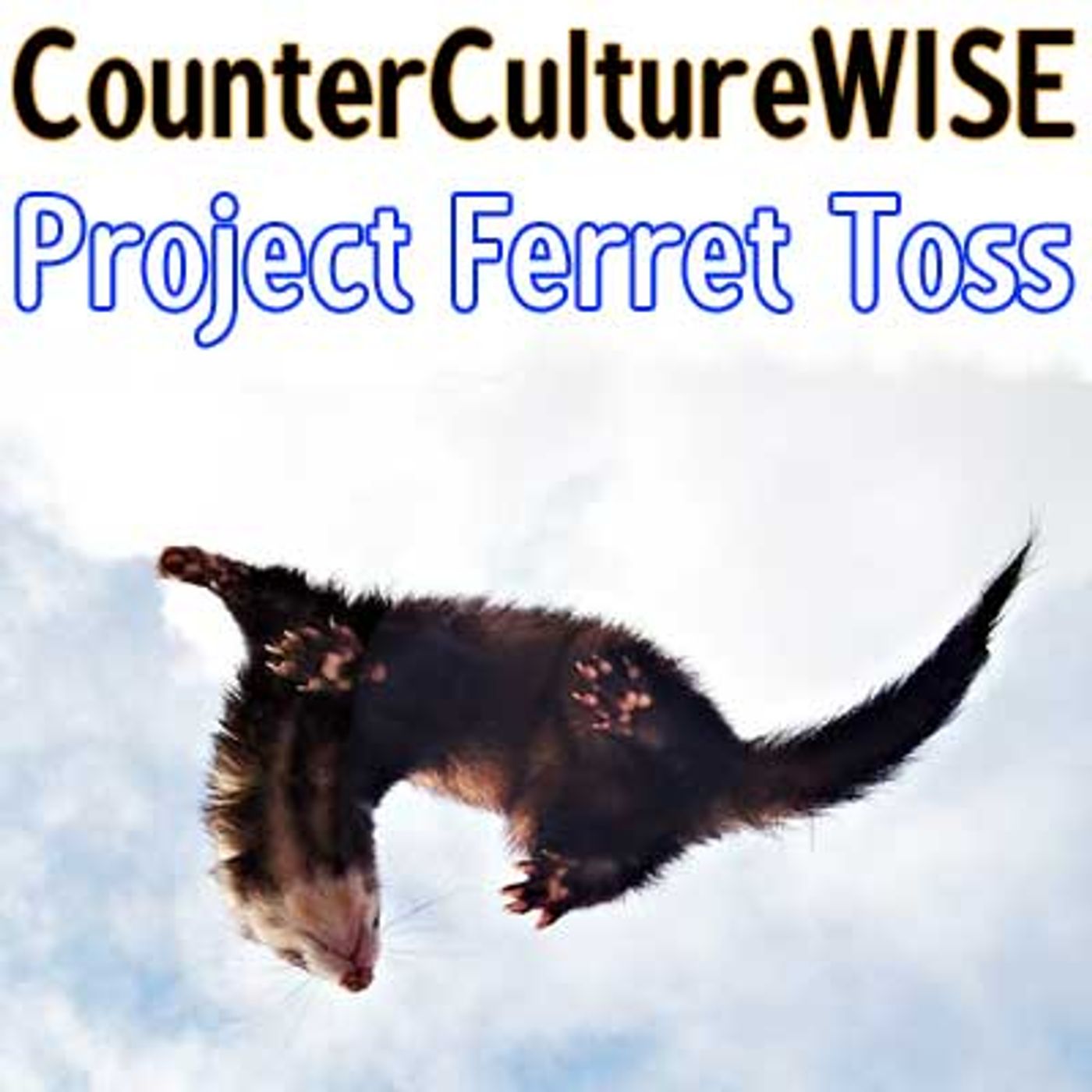 CounterCultureWISE
