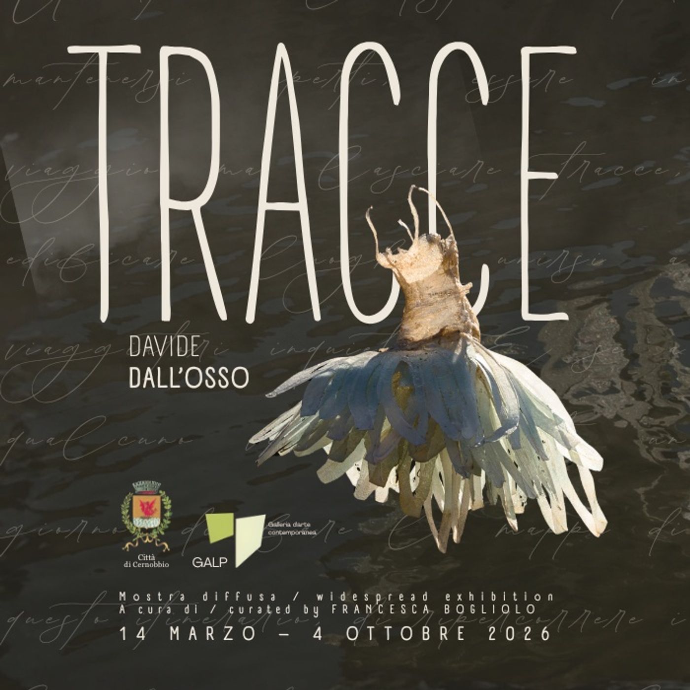 Tracce. Mostra di Davide Dall'Osso podcast artwork