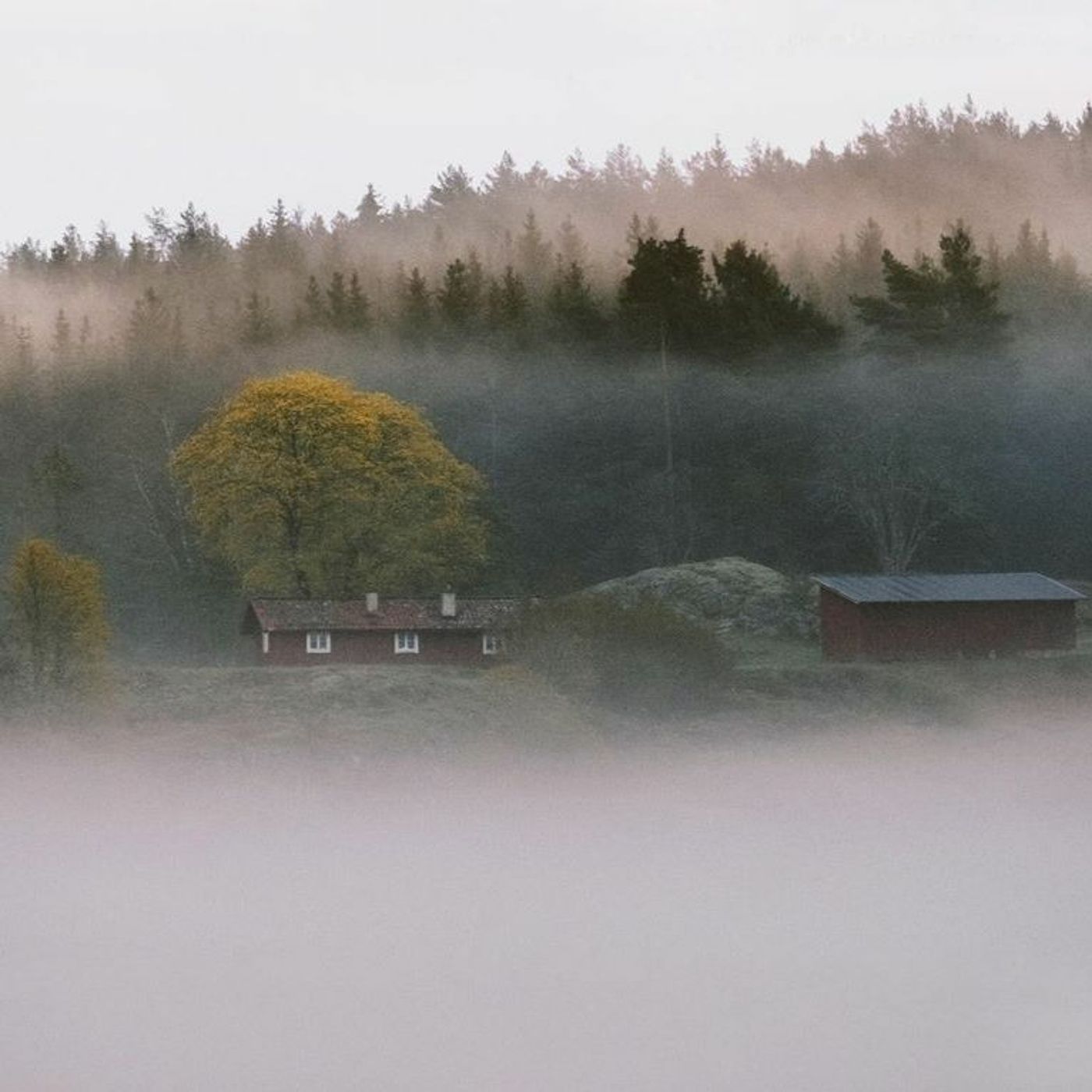 The spirits understand all language - meeting my mother in heaven