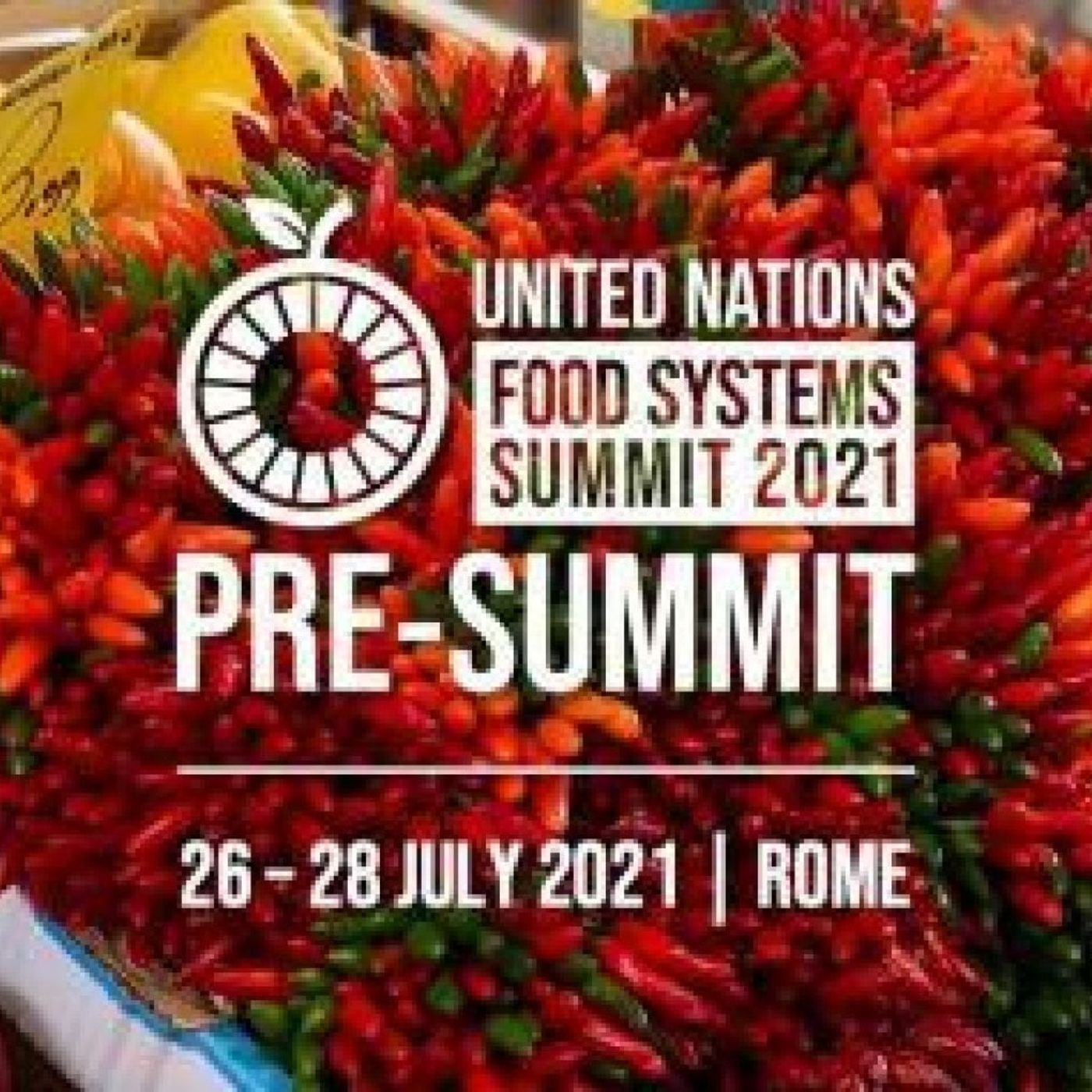 Educazione Alimentare!