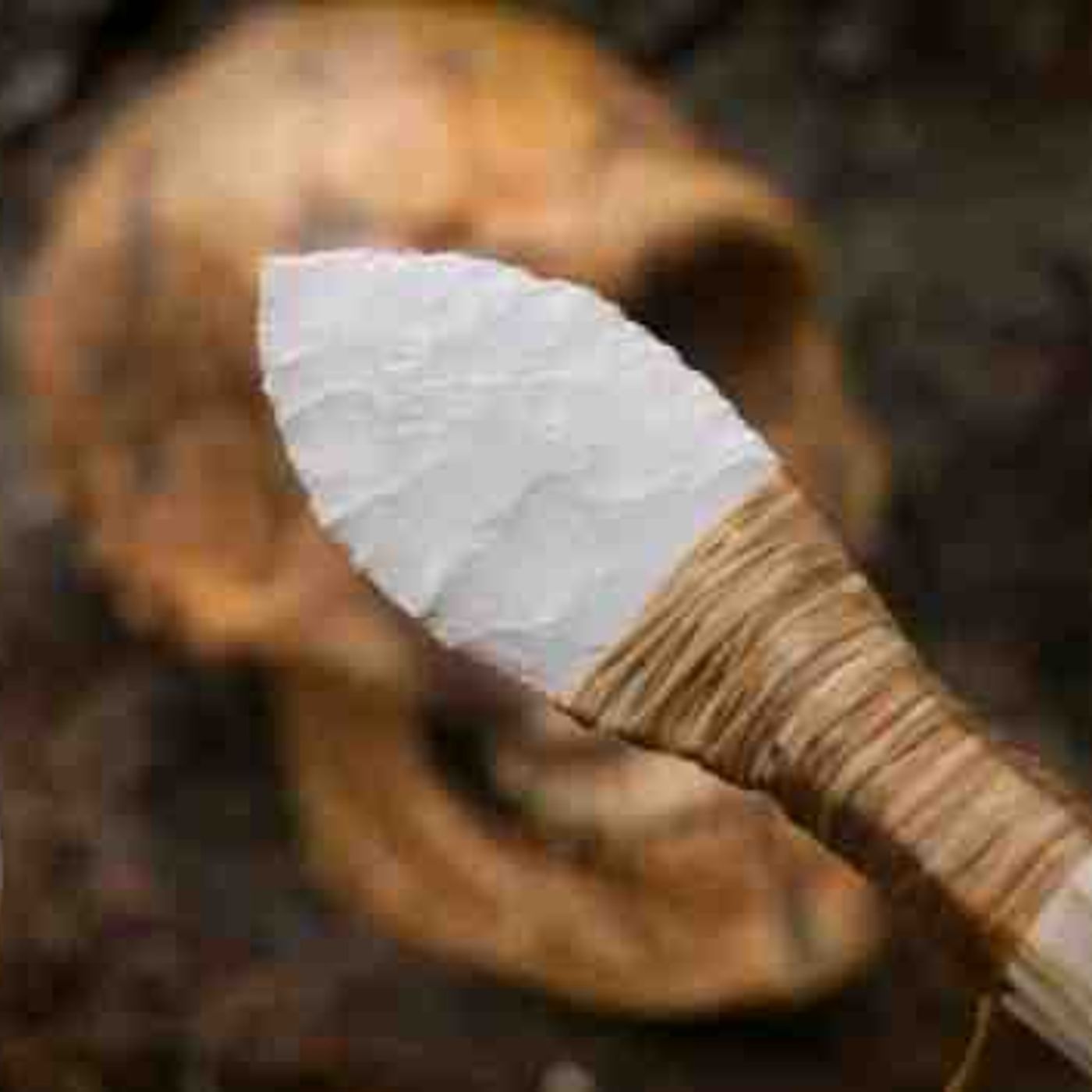The Weapons of the Stone Age episode artwork