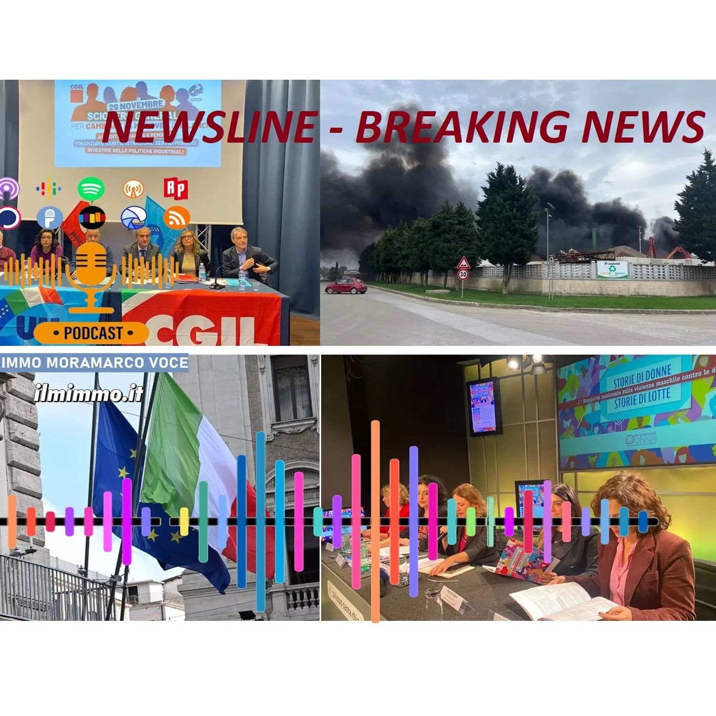 Newsline 2 del 22 novembre 2024 episode artwork