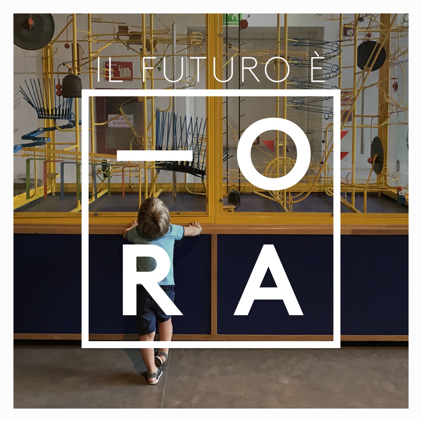 Neuroscienze e organizzazioni: dov’è il ponte?