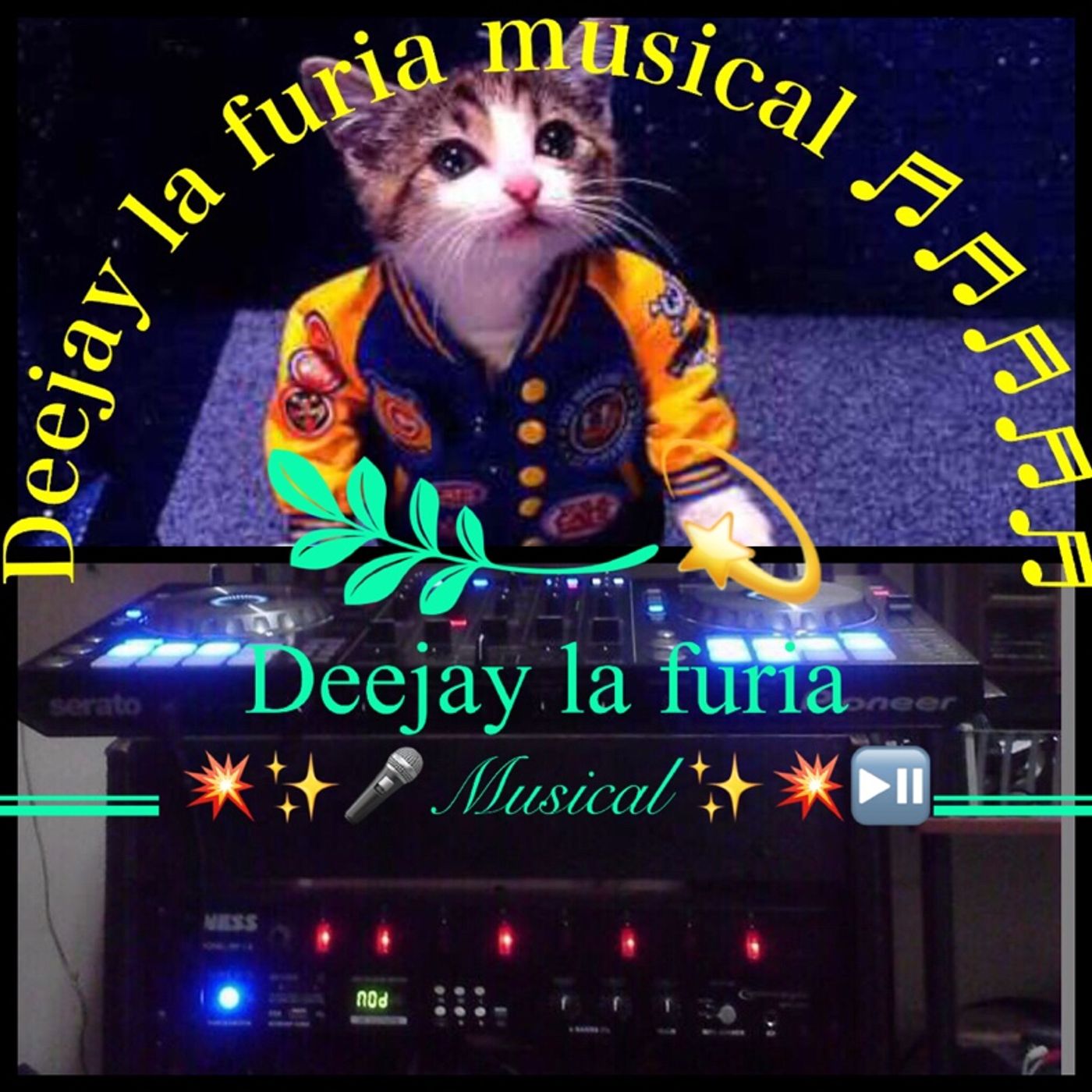 Dj La Furia Musical's show