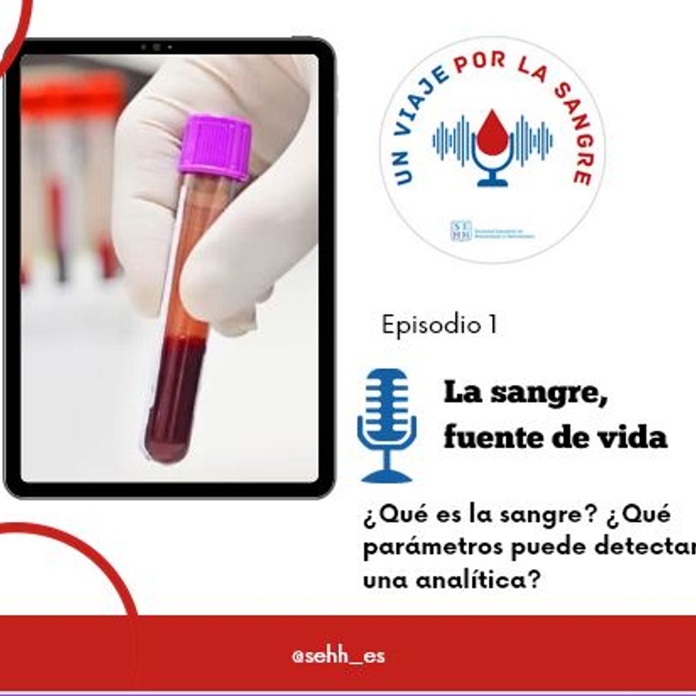 Un viaje por la sangre, de la SEHH
