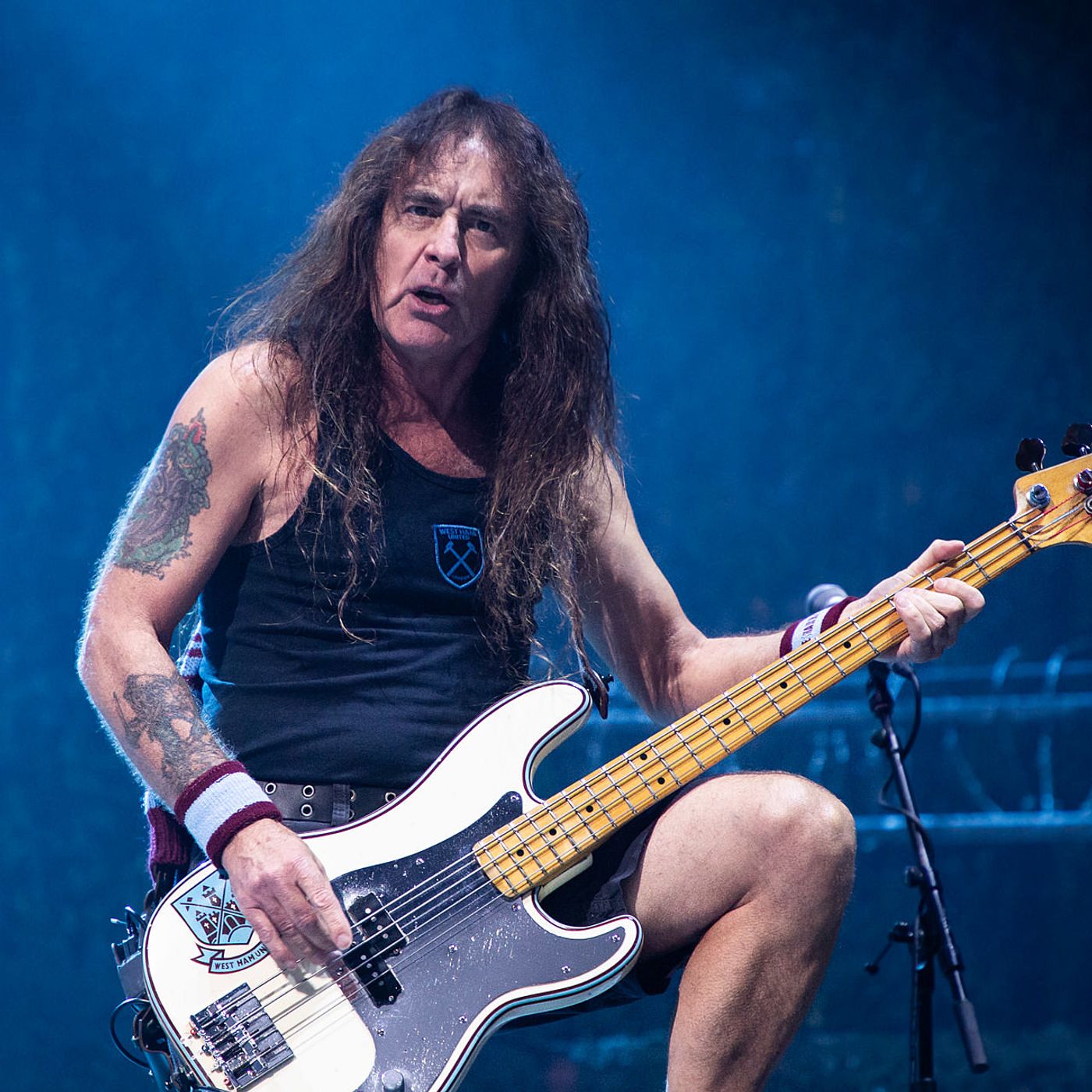 STEVE HARRIS - British Lion and Iron Maiden 2024 Australian Tour Interview episode artwork