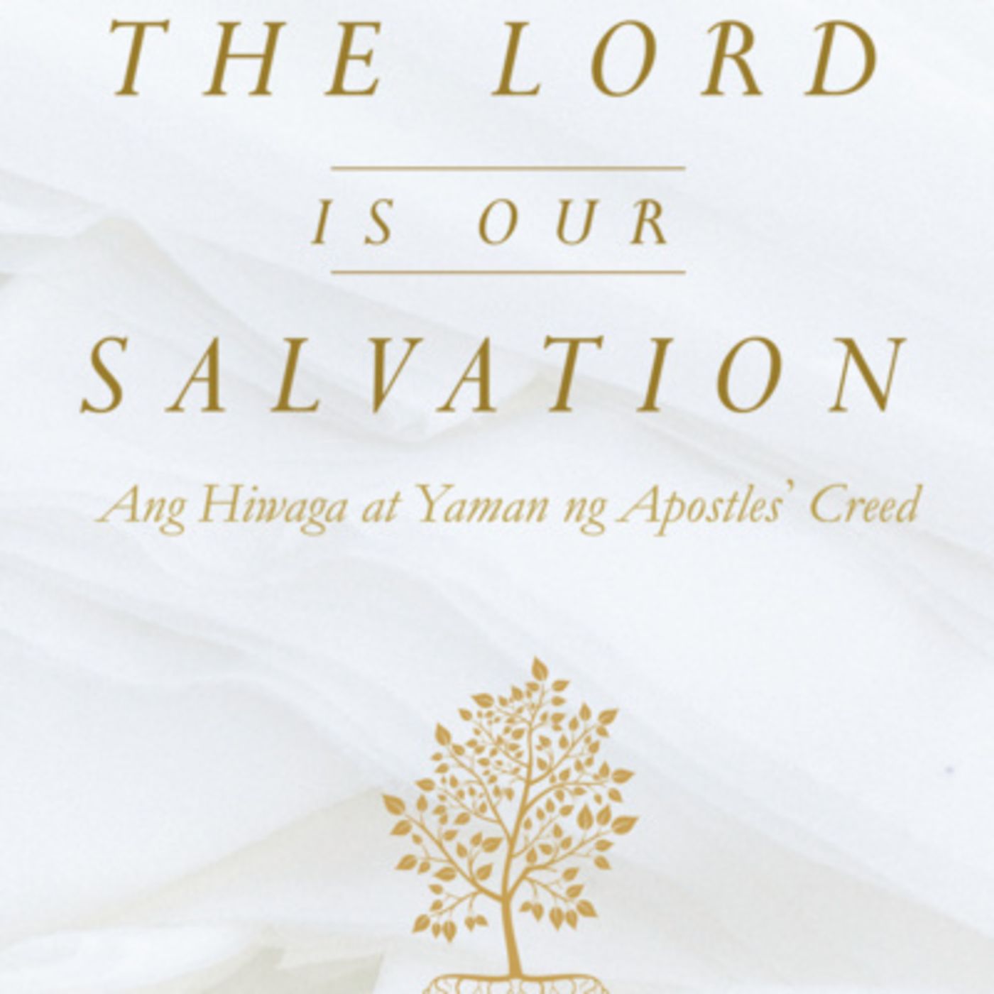 The Apostles' Creed Part 11 - The Holy Catholic Church, the Communion of Saints episode artwork
