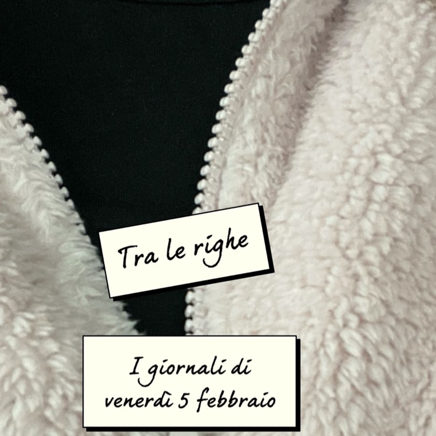 La rassegna stampa di Claudia de Lillo