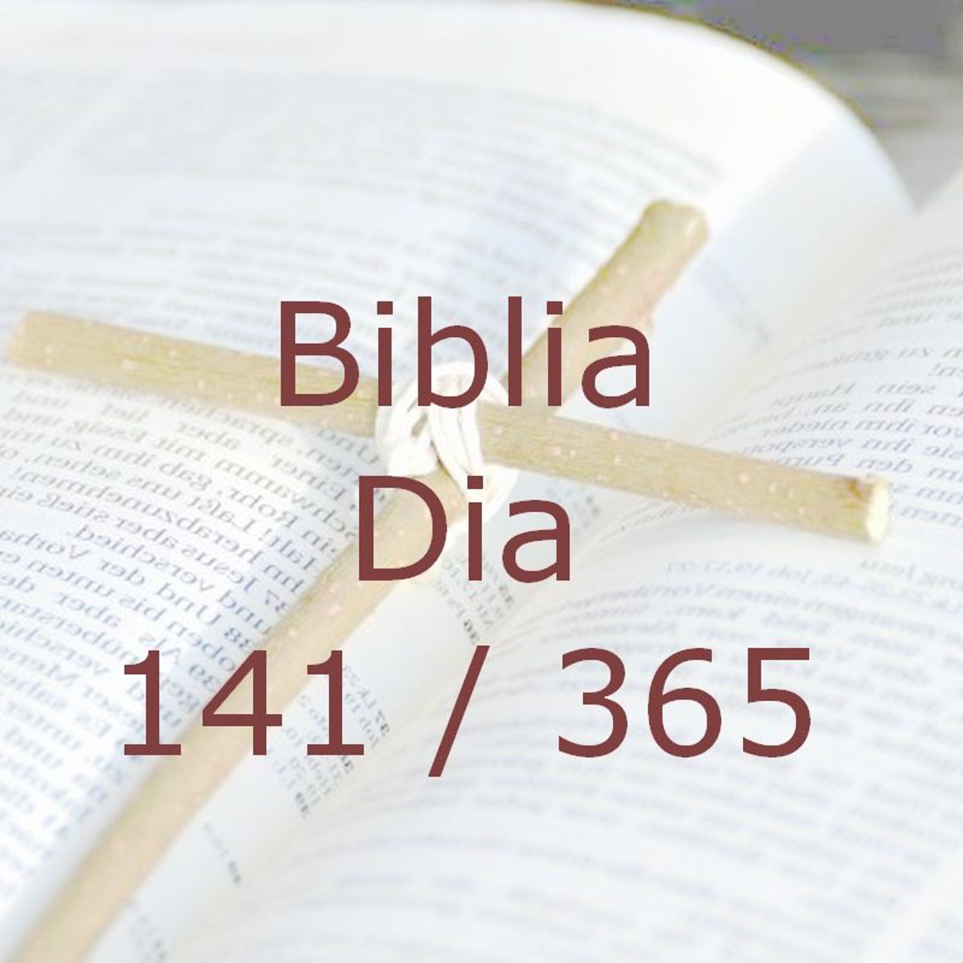 La Biblia en 365 dias