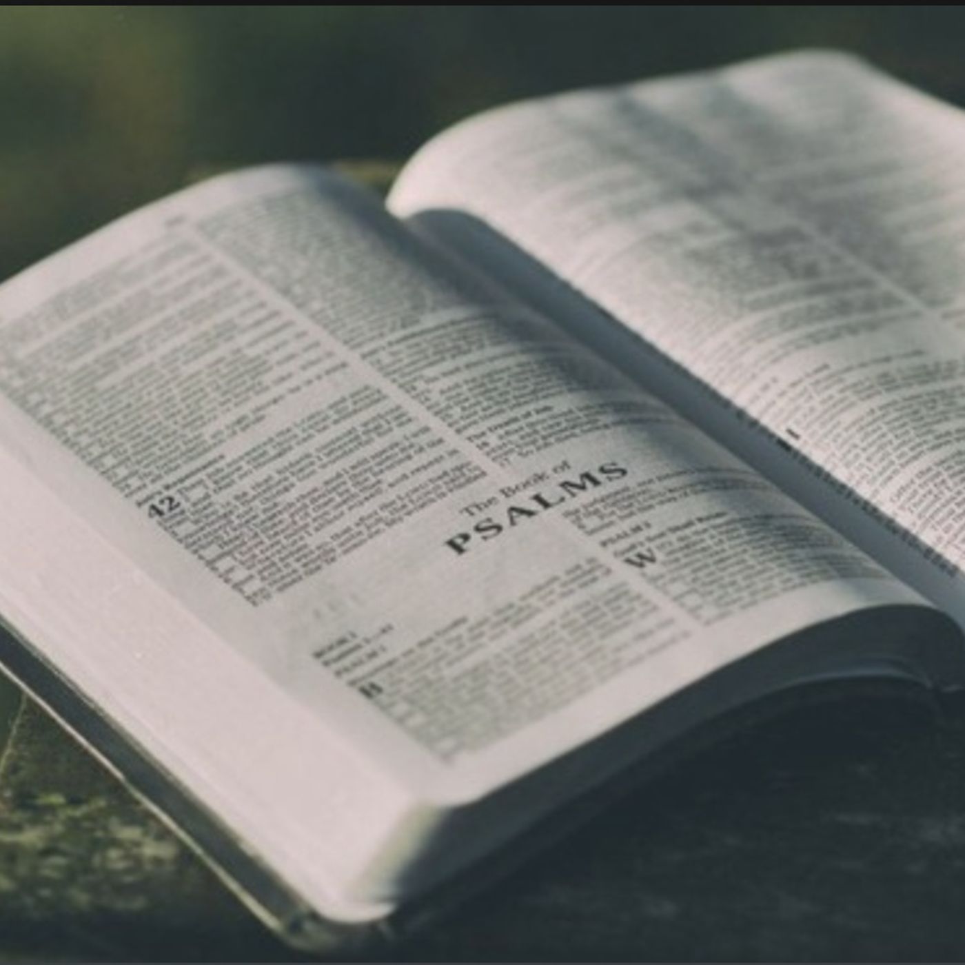Psalms chapter 9