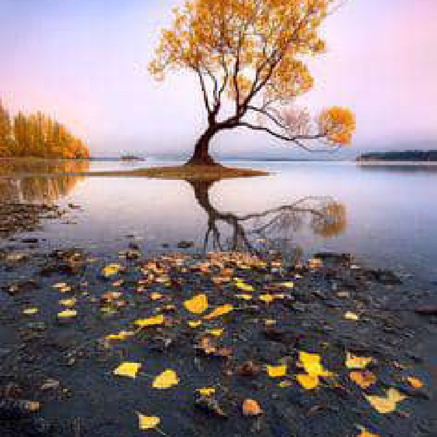 Debbie Kush\'s podcast