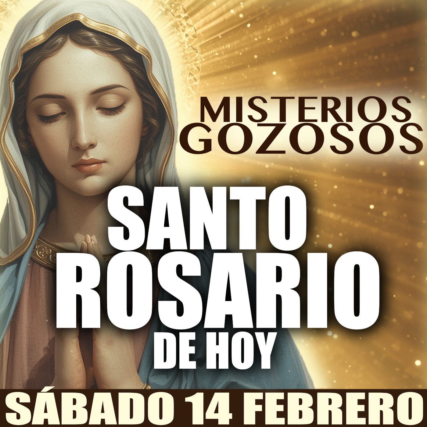 SANTO ROSARIO DE HOY 🌹 Sábado 14 de Febrero 2026 | Misterios GOZOSOS 🙏 Rosario a la Virgen María