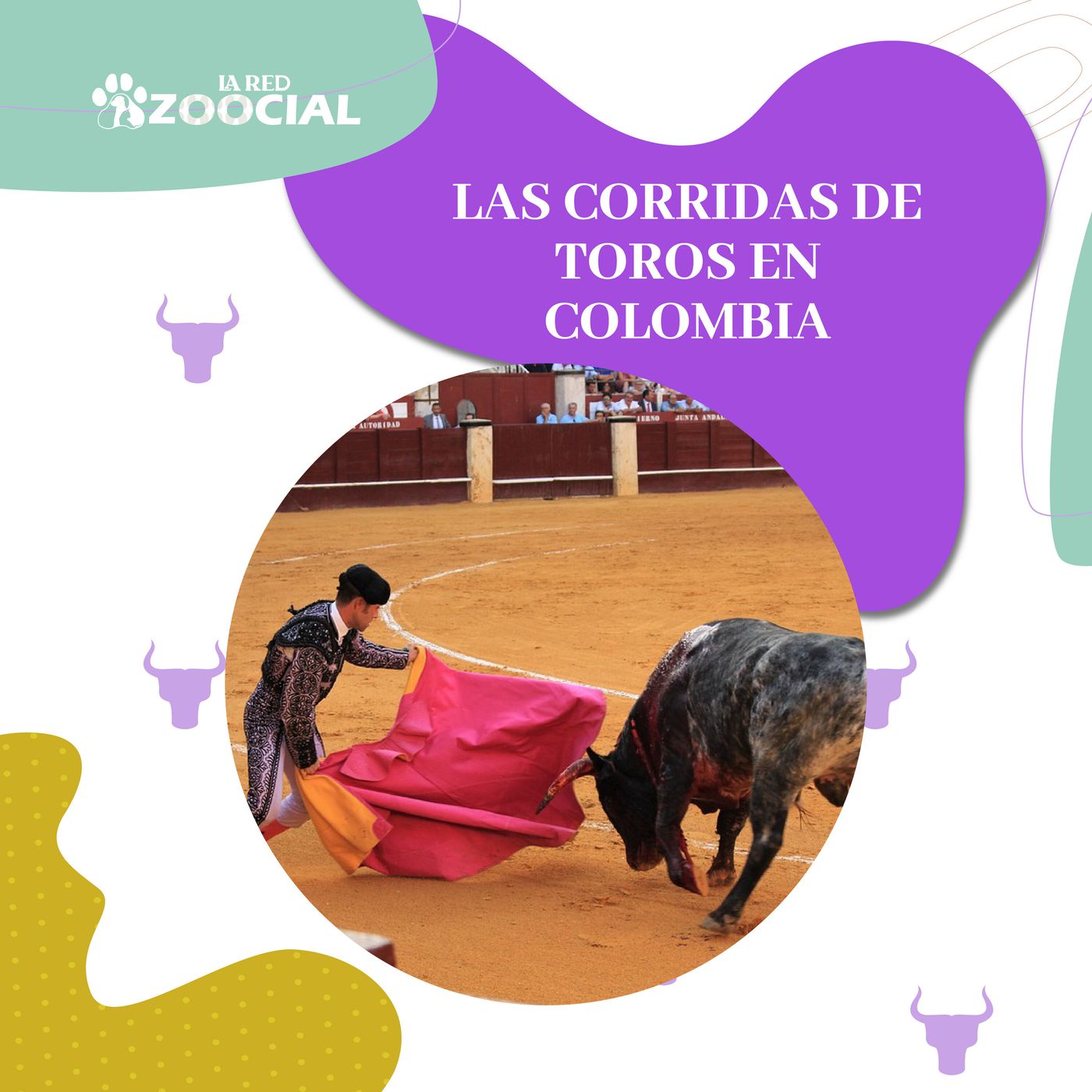 ¿El fin de las corridas de toros?: un debate que avanza en Colombia ¿El fin de las corridas de toros?: un debate que avanza en Colombia