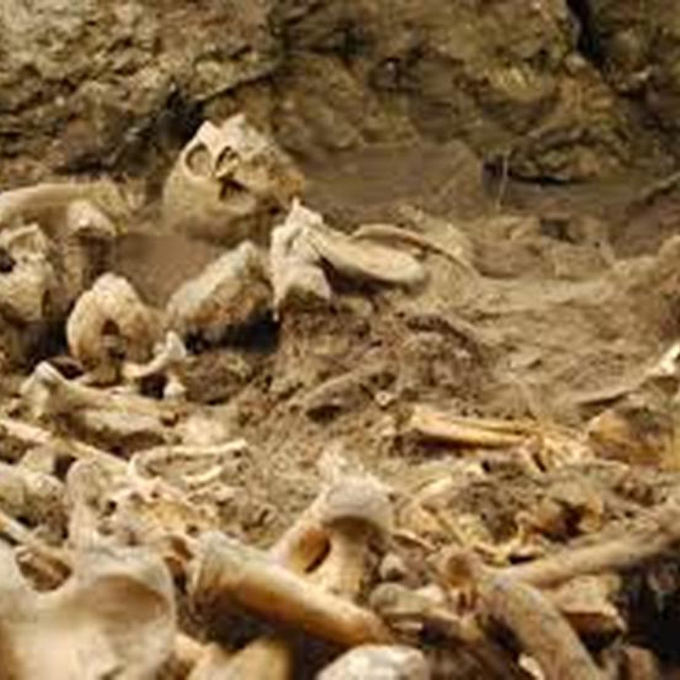 ATAPUERCA, EL ORIGEN