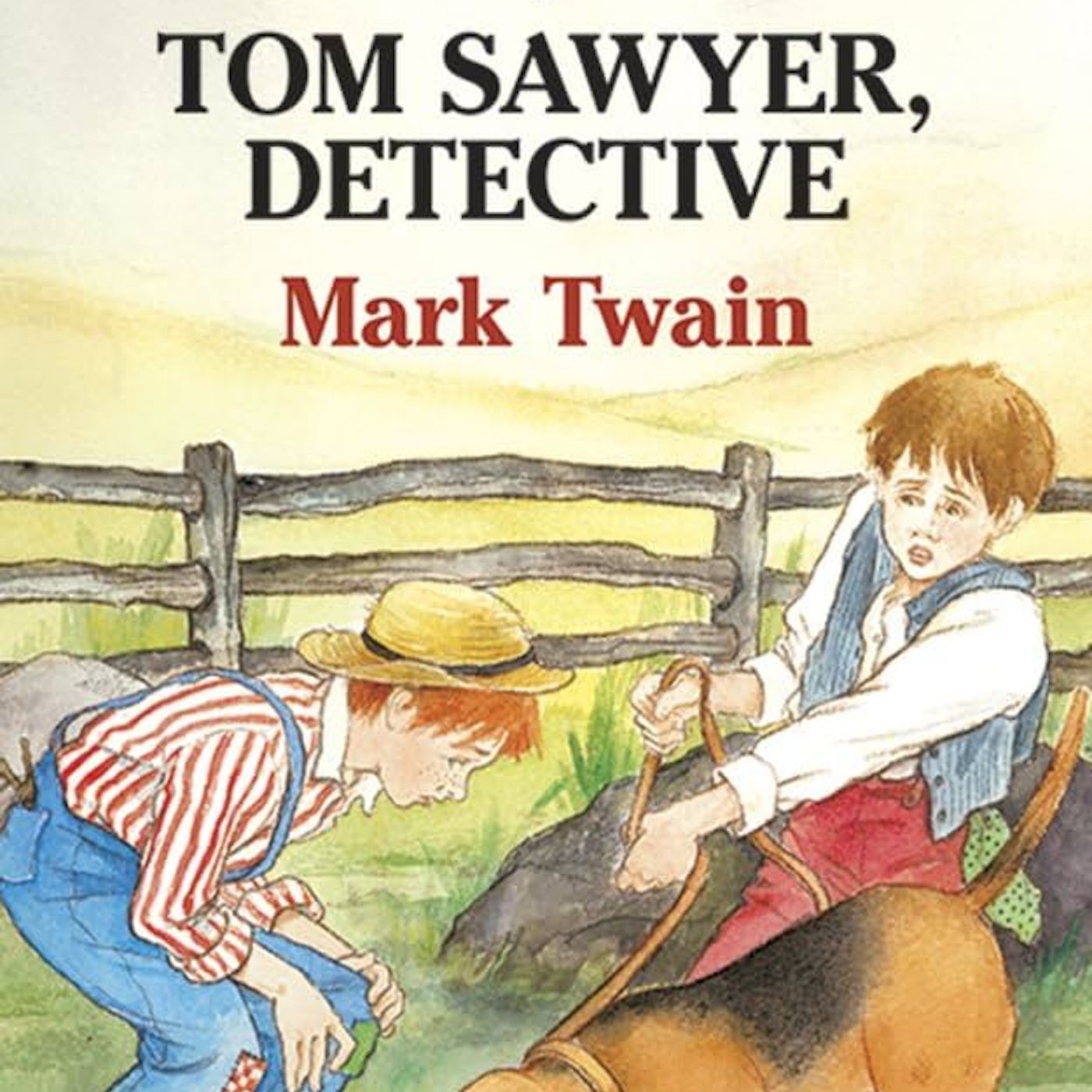 Episodio 6x2: Tom Sawyer  detective