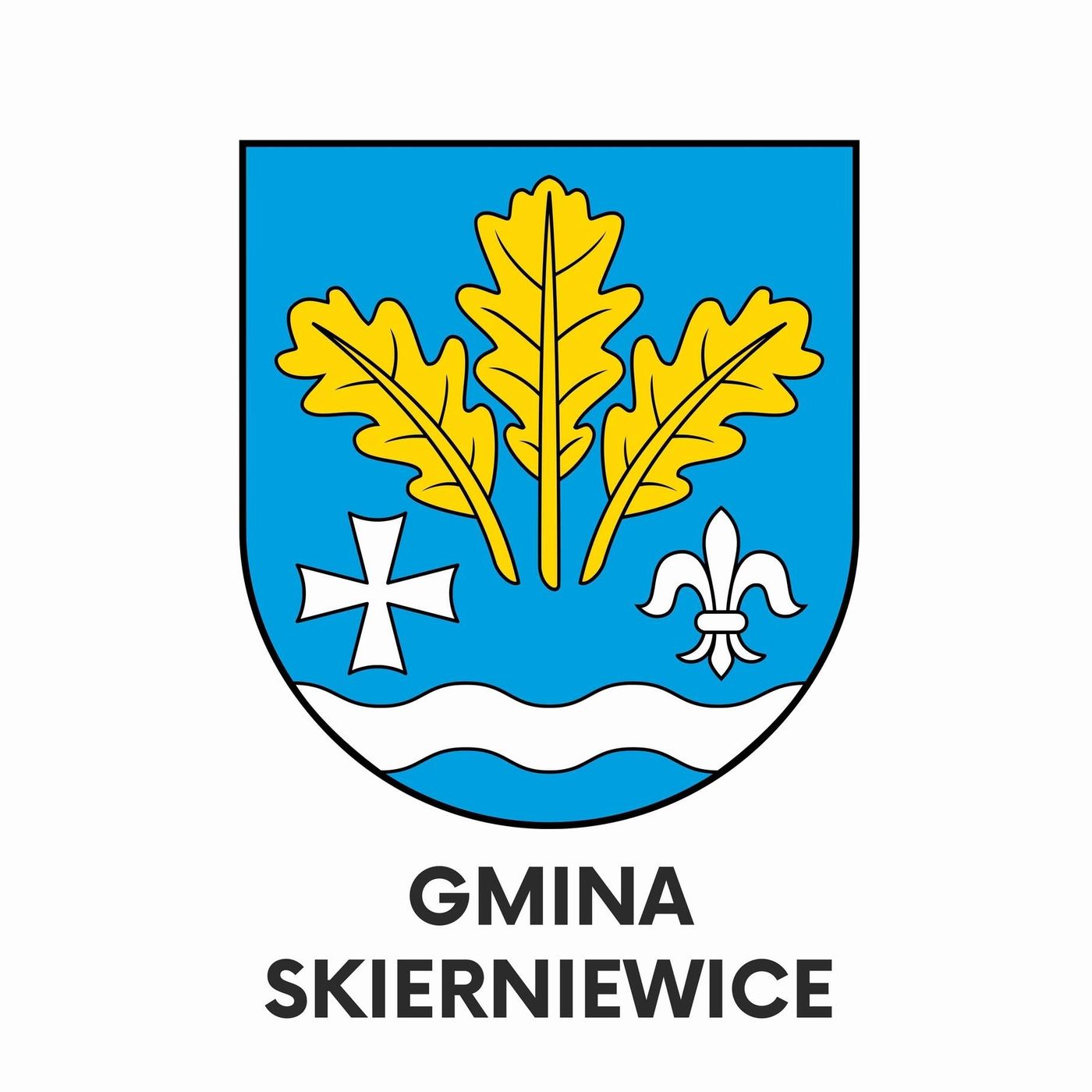 Program samorządowy gminy Skierniewice: Lucja Skarzyńska (11.04) episode artwork