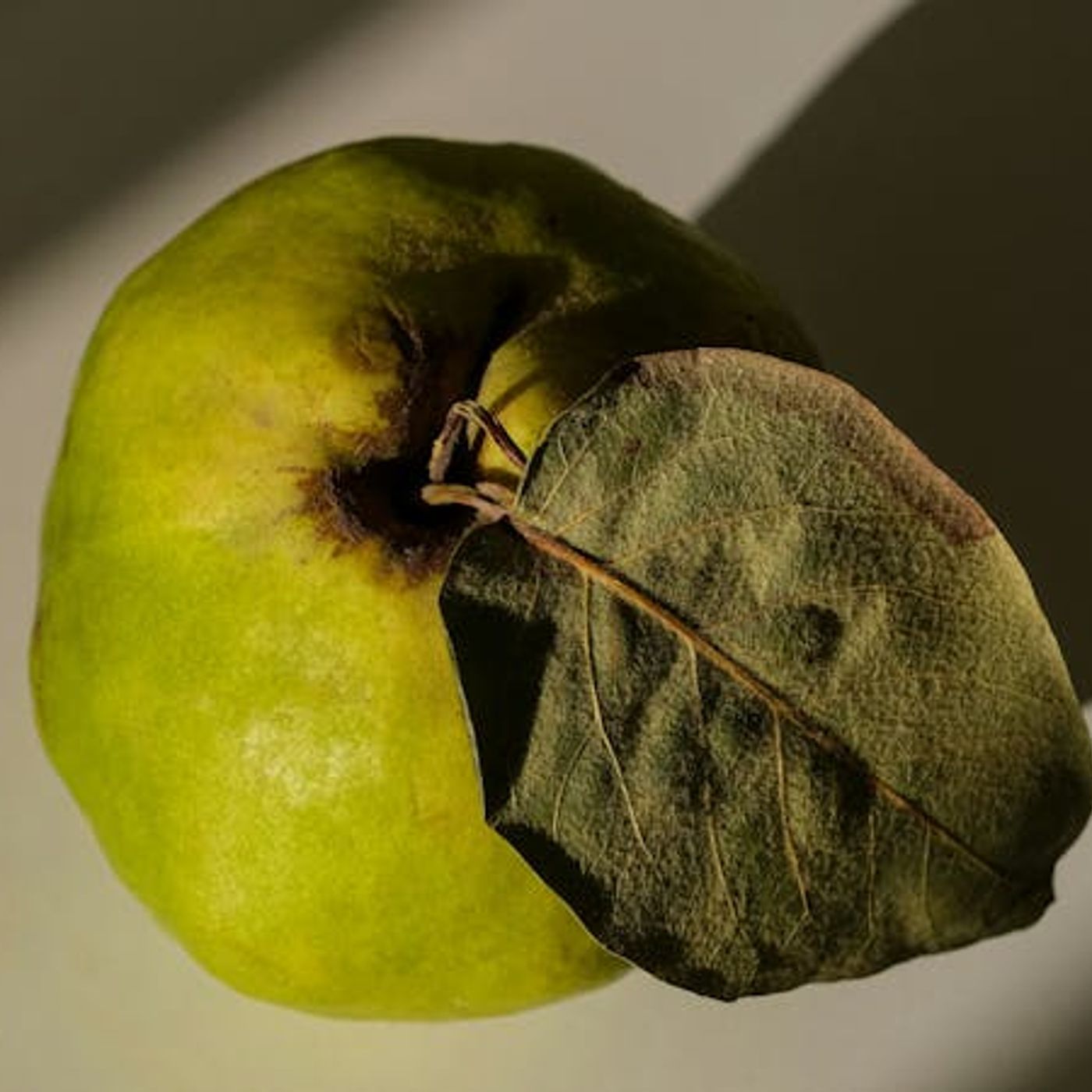 Four Tests for False Teaching