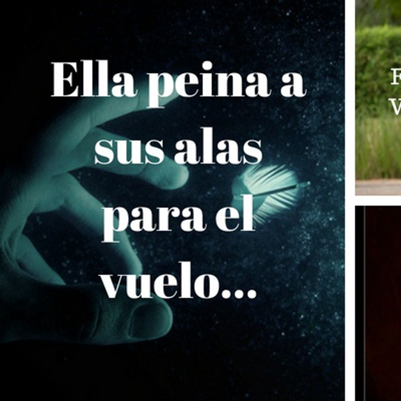 Memorias de una rosa