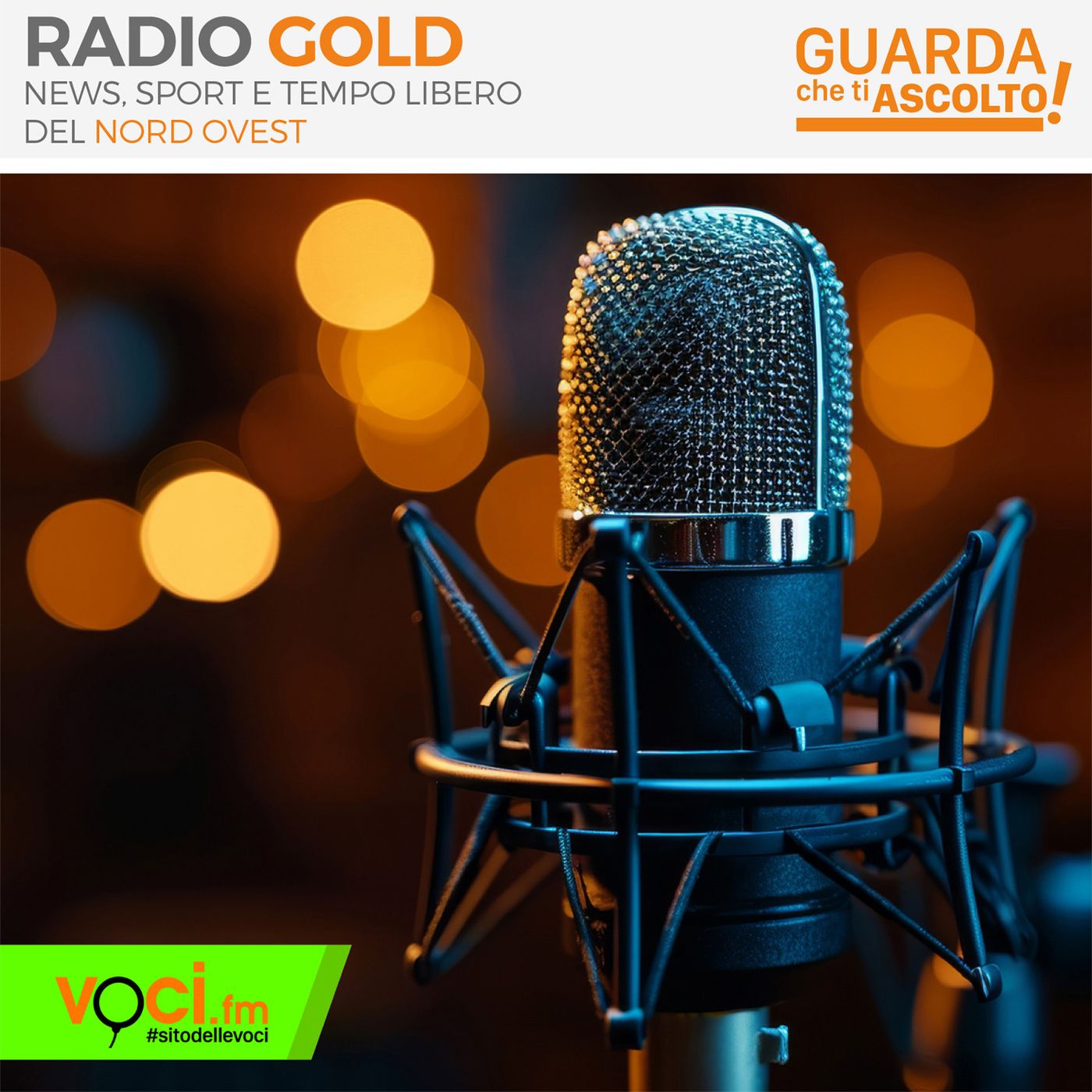 Clicca PLAY per GUARDA CHE TI ASCOLTO - RADIO GOLD da Alessandria episode artwork