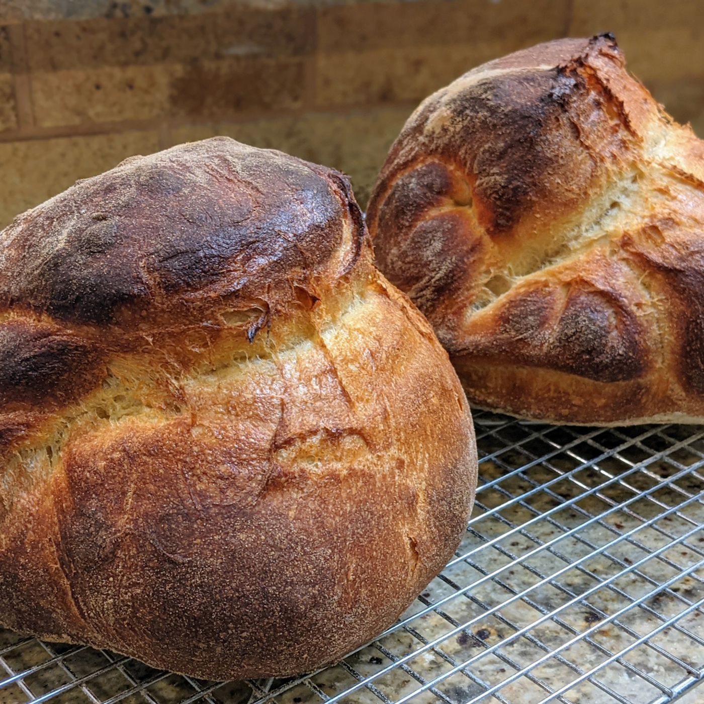 Il pane di altamura 'Inno' di Mimmo Moramarco episode artwork