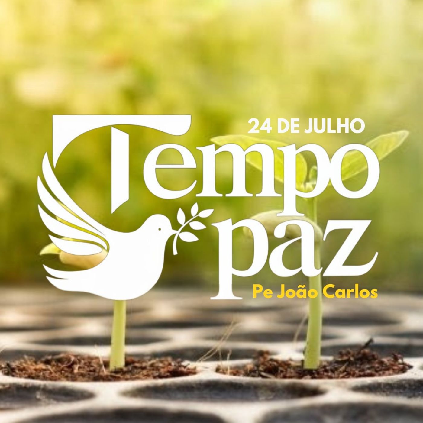 Pe. João Carlos - Meditação da Palavra
