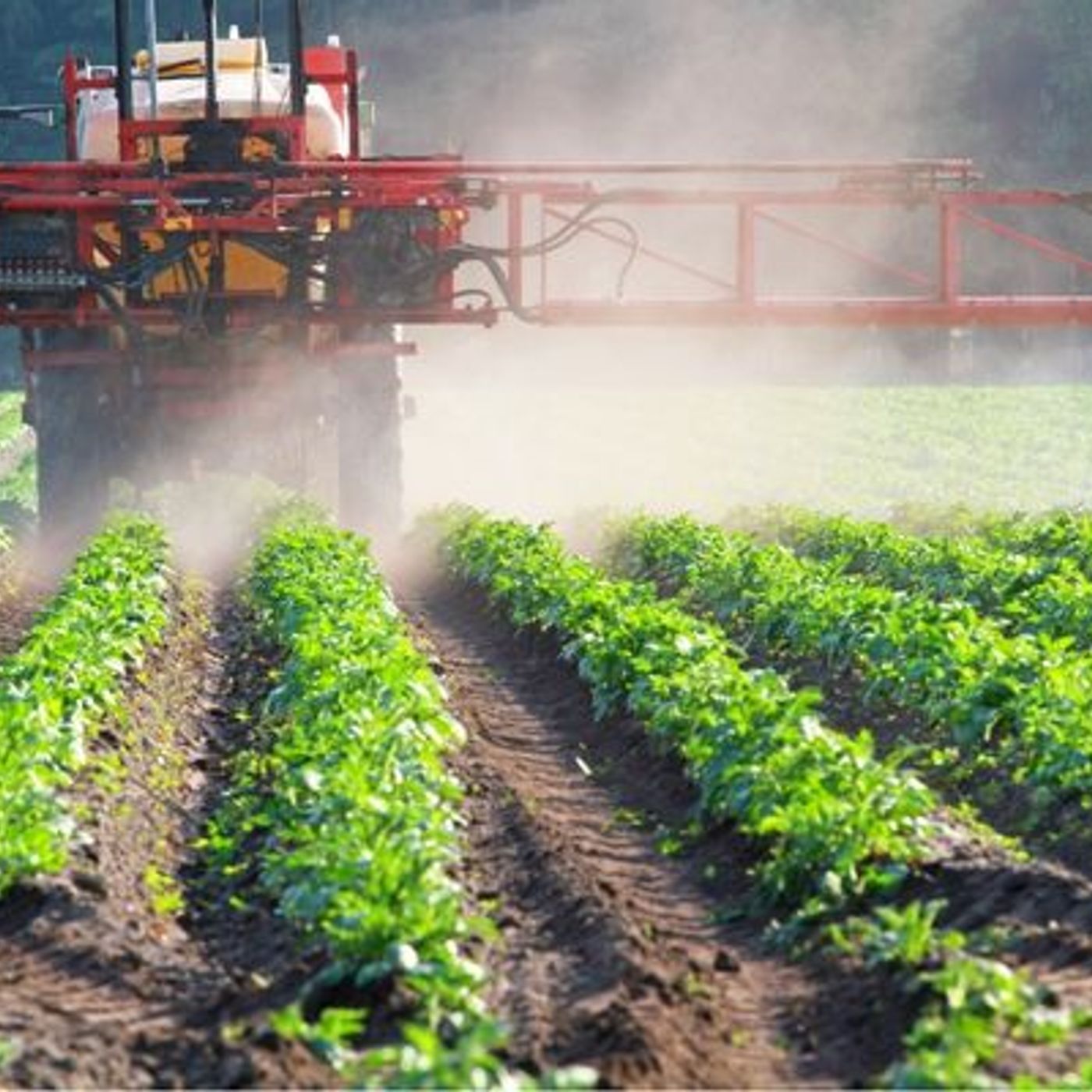 Stop aux pesticides : le message de SOS Faim lors du festival Alimenterre episode artwork