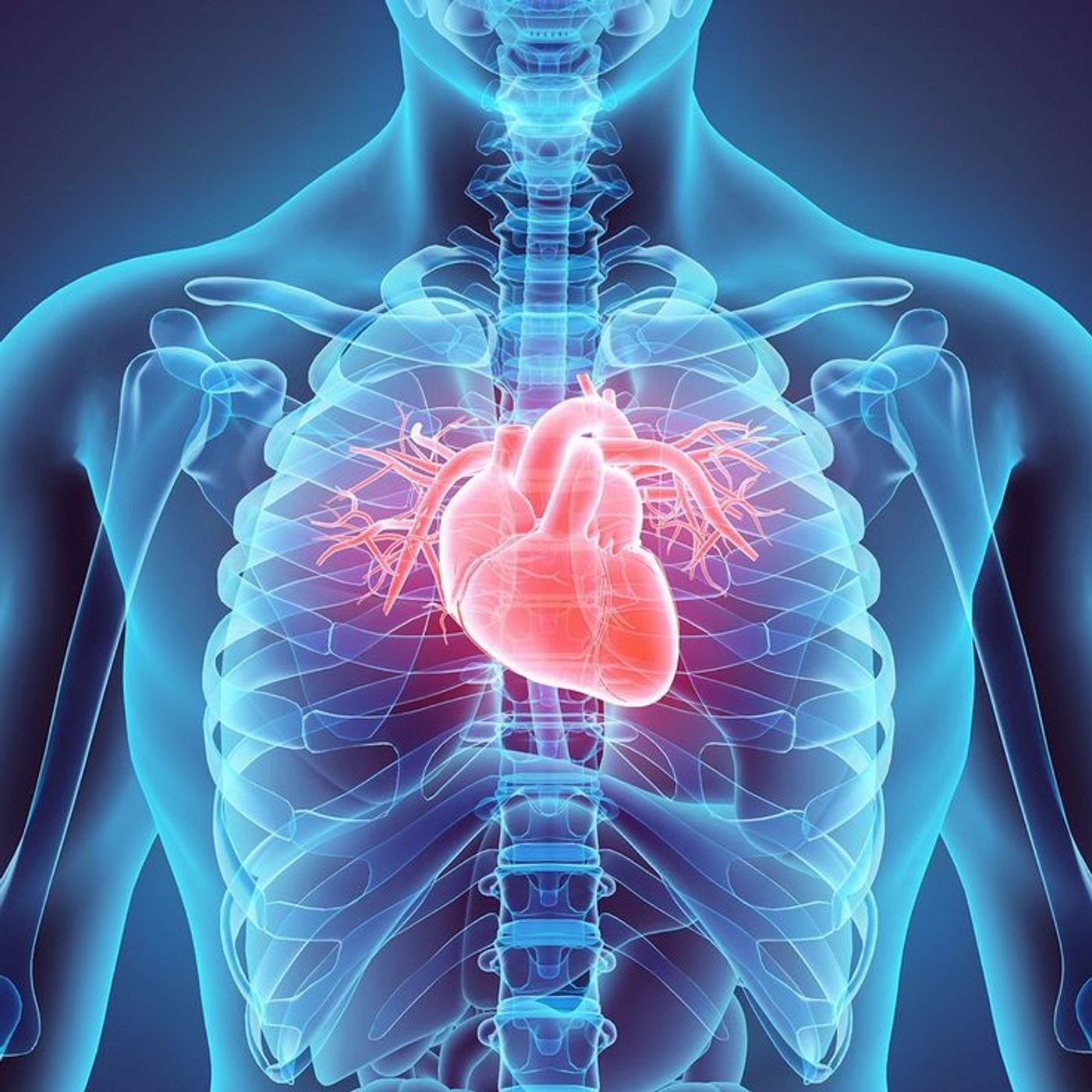 Maintaining a Healthy Heart podcast artwork