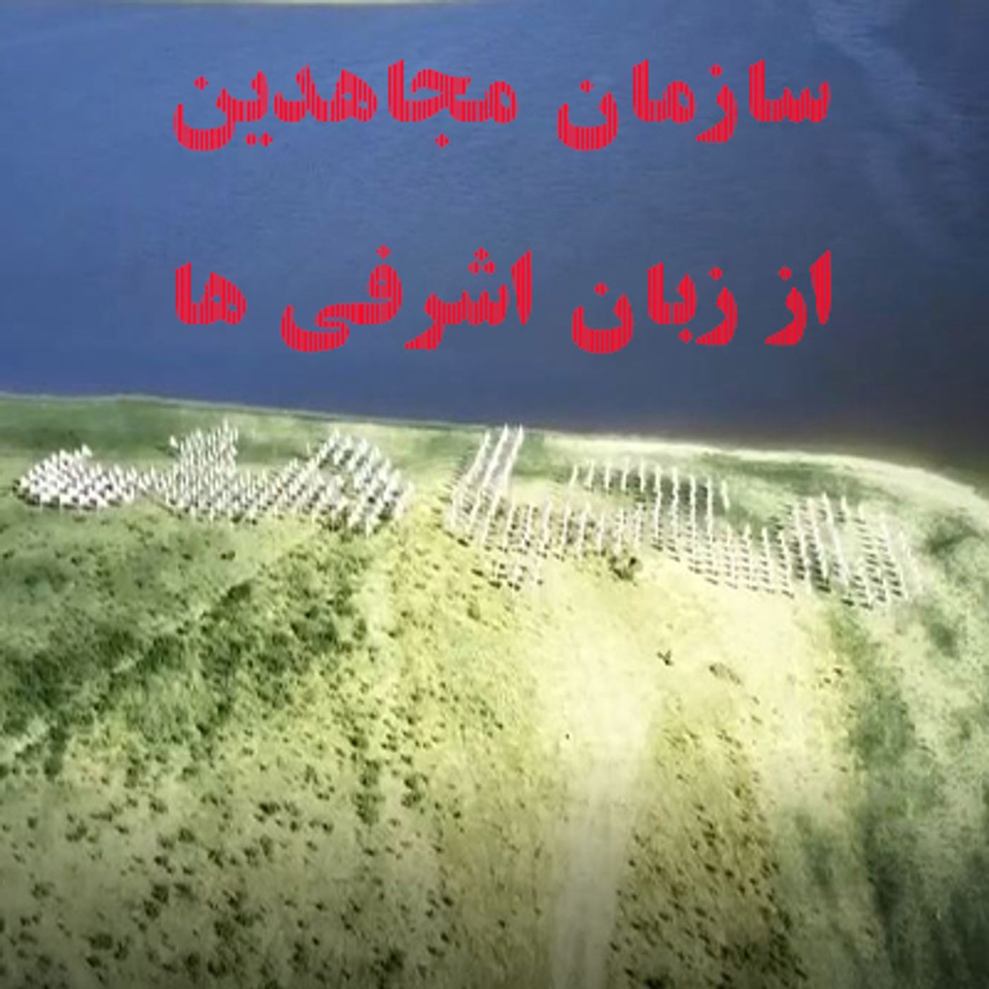سازمان مجاهدین از زبان اشرفی ها episode artwork