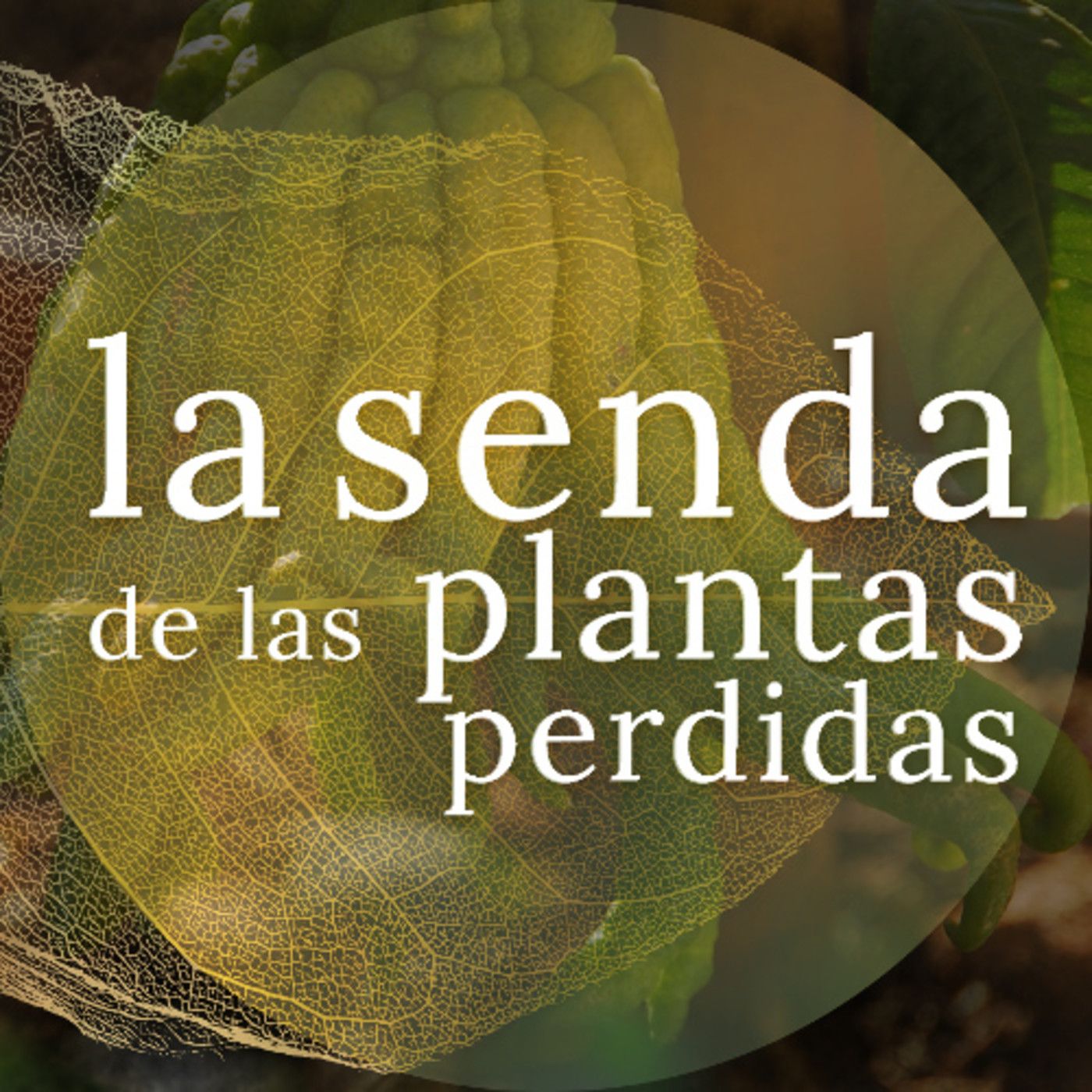 La Senda de las Plantas Perdidas