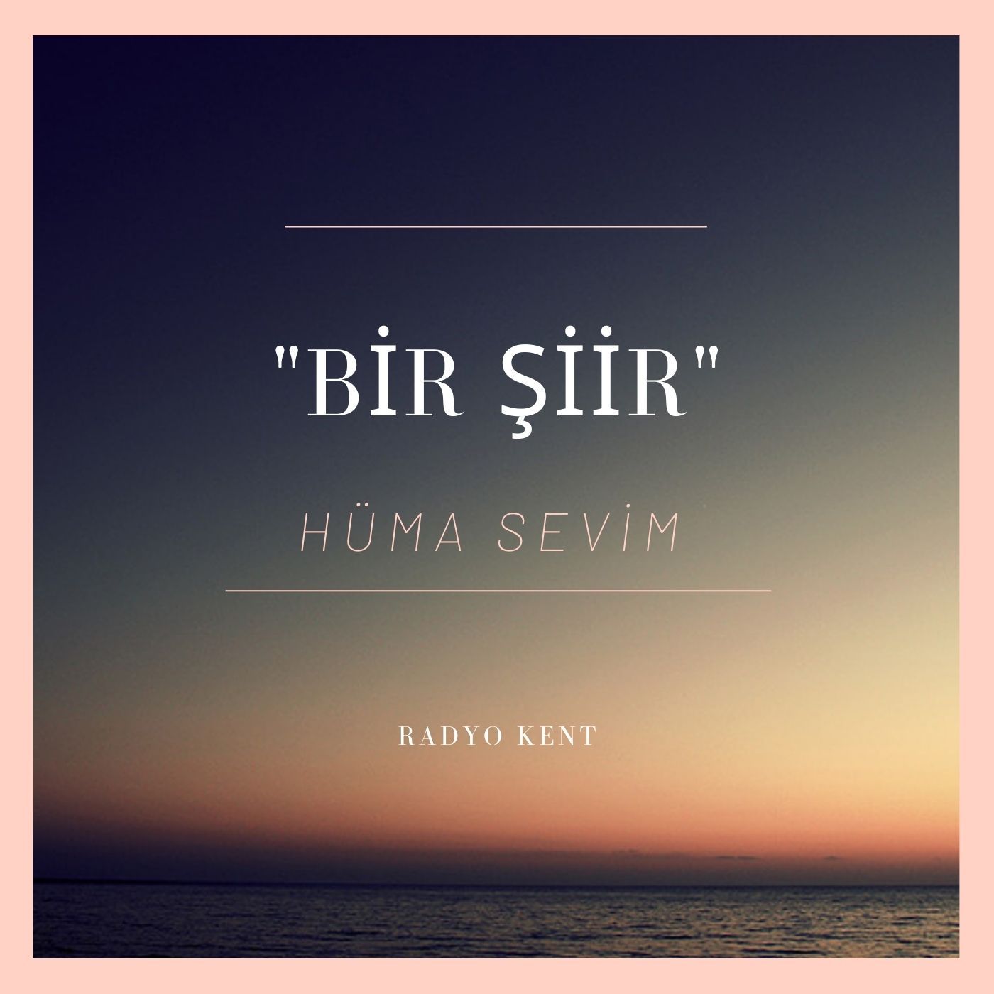 BİR METİN BİR ŞİİR
