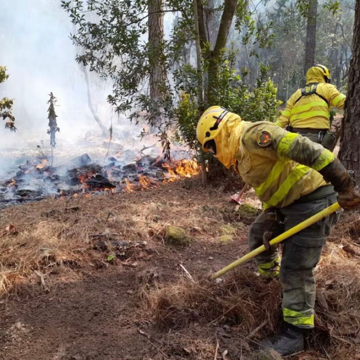 En Clave Rural: El campo español se enfrenta al fuego y a la ocupación de sus vías pecuarias episode artwork