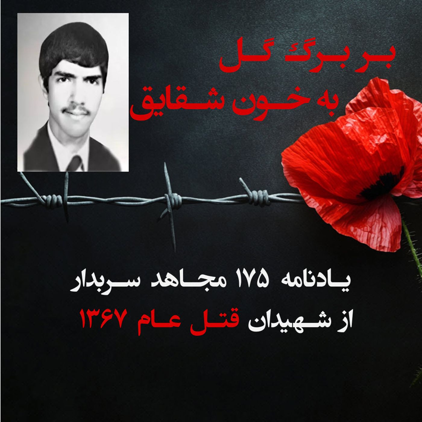 بربرگ گل به خون شقایق- اکبر لطیف