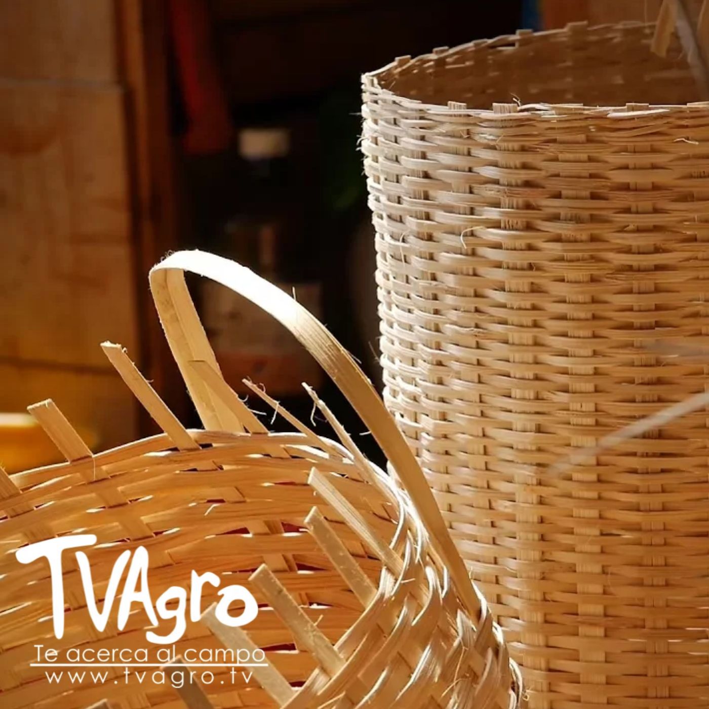 TV AGRO