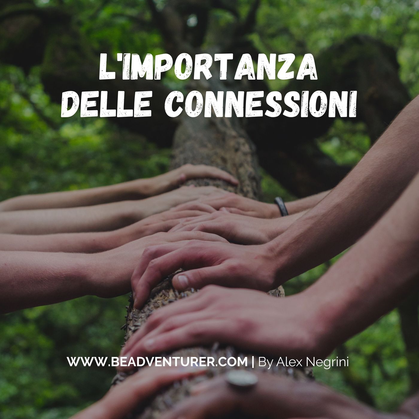 Emozioni in viaggio