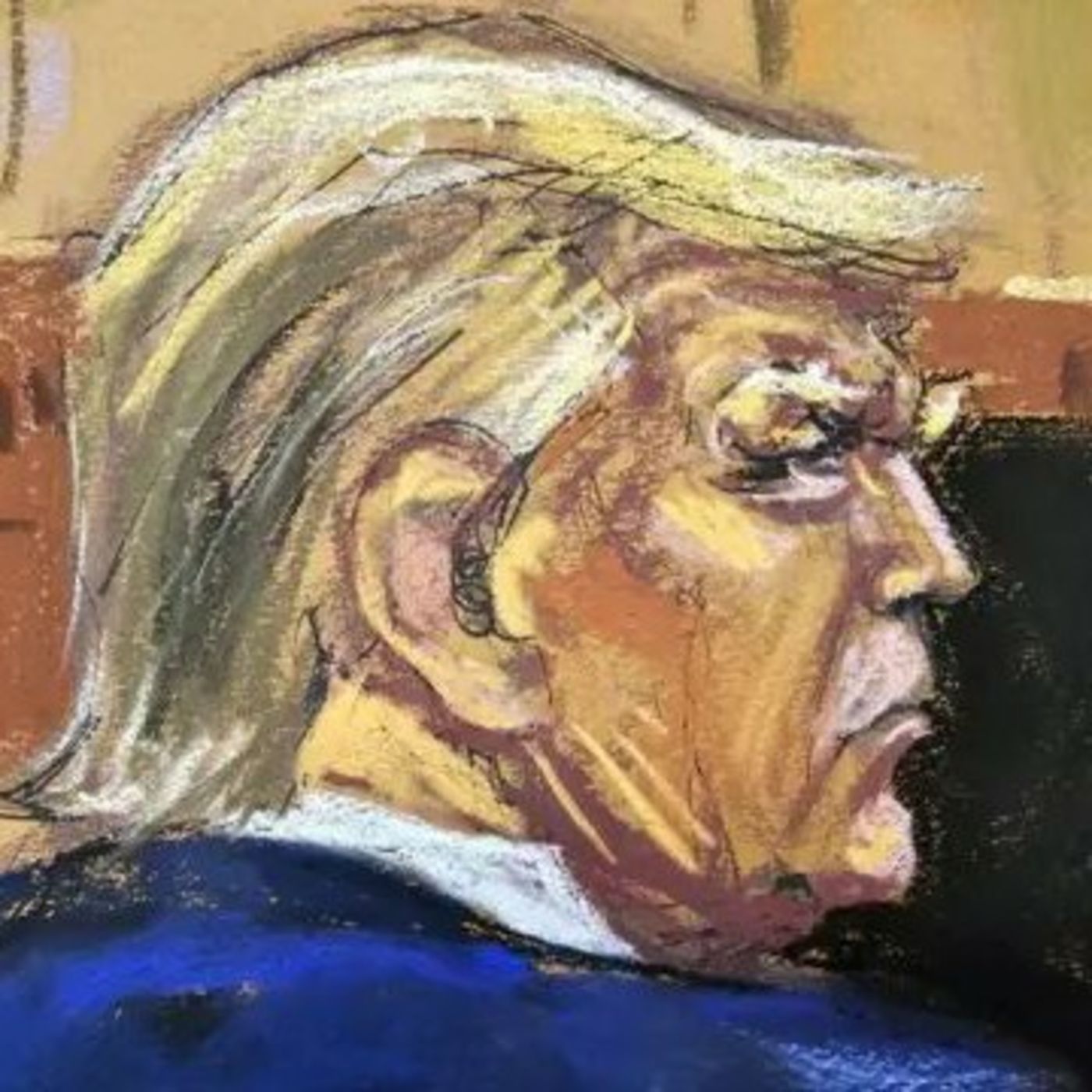 Joe Biden Should Seek a Pardon in Trump Verdict?
