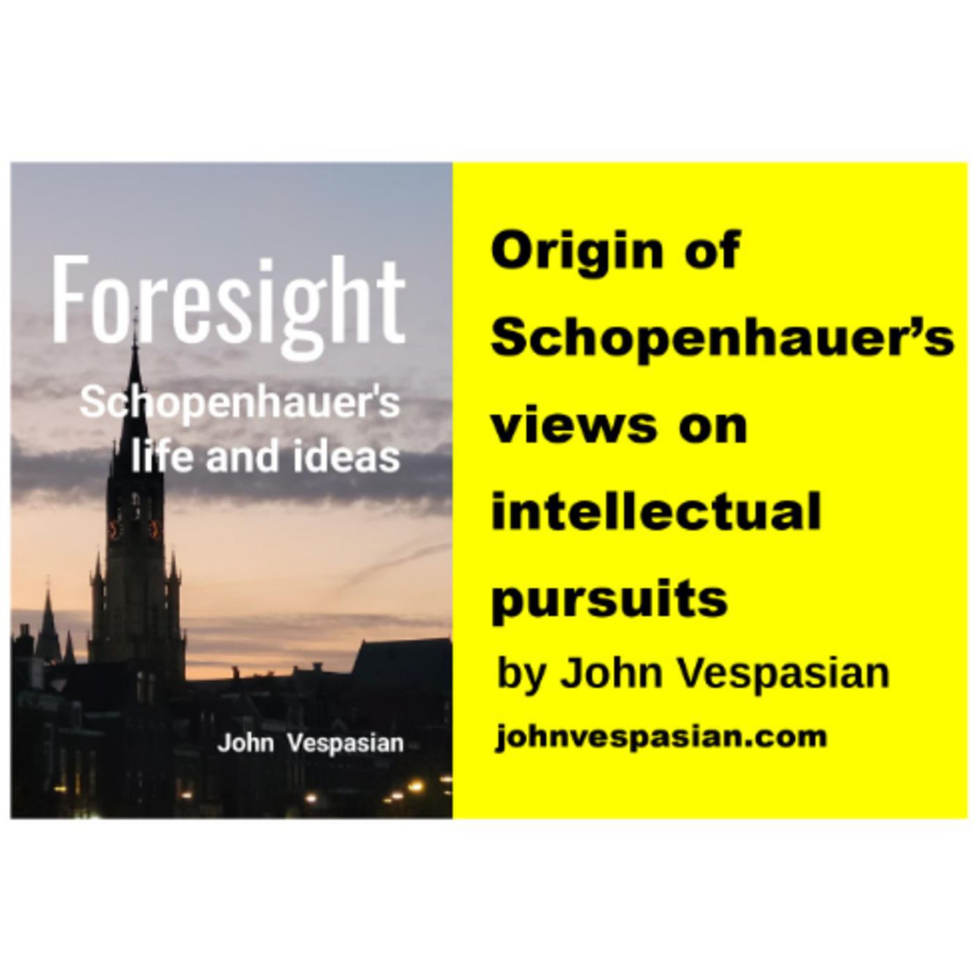Origin of Schopenhauer’s views on intellectual pursuits episode artwork