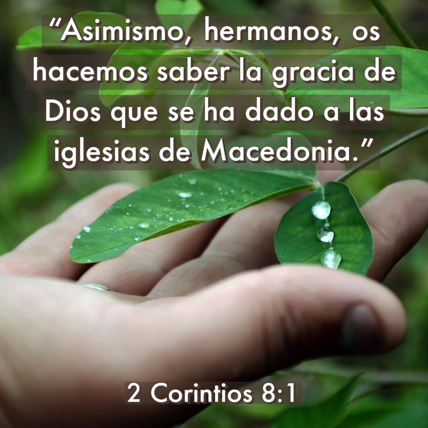 Ministerio UMCD - Un Momento Con Dios | Reflexiones Cristianas