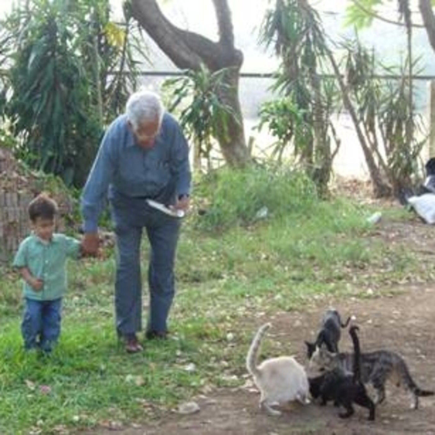 Historias de Miedo Octubre 30 2020 MI ABUELO SE FUE 3 VECES