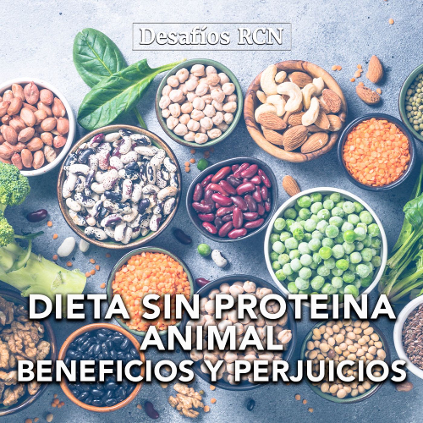 Los beneficios y perjuicios de la eliminación de la proteína de origen animal en la dieta | Desafíos RCN-Javeriana episode artwork