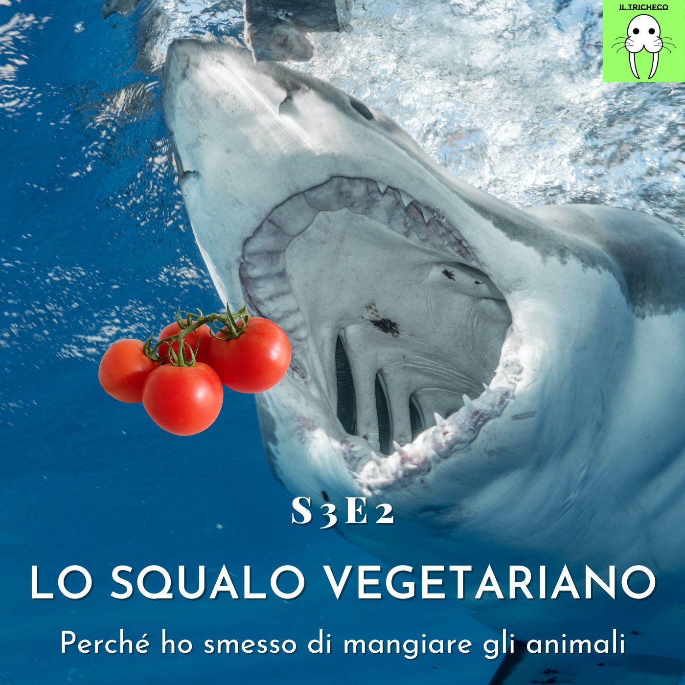 Il Tricheco